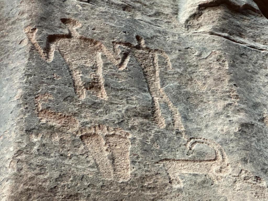 Bedouin Tours Camp Hotel Rum vádi Kültér fotó